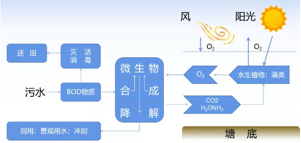 1627889308320632.jpg 7777.jpg